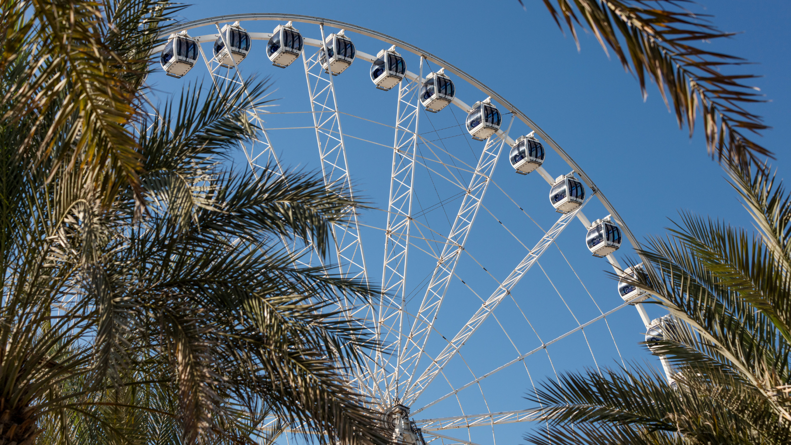 Best View in Abu Dhabi - Marina Eye Ferris Wheel