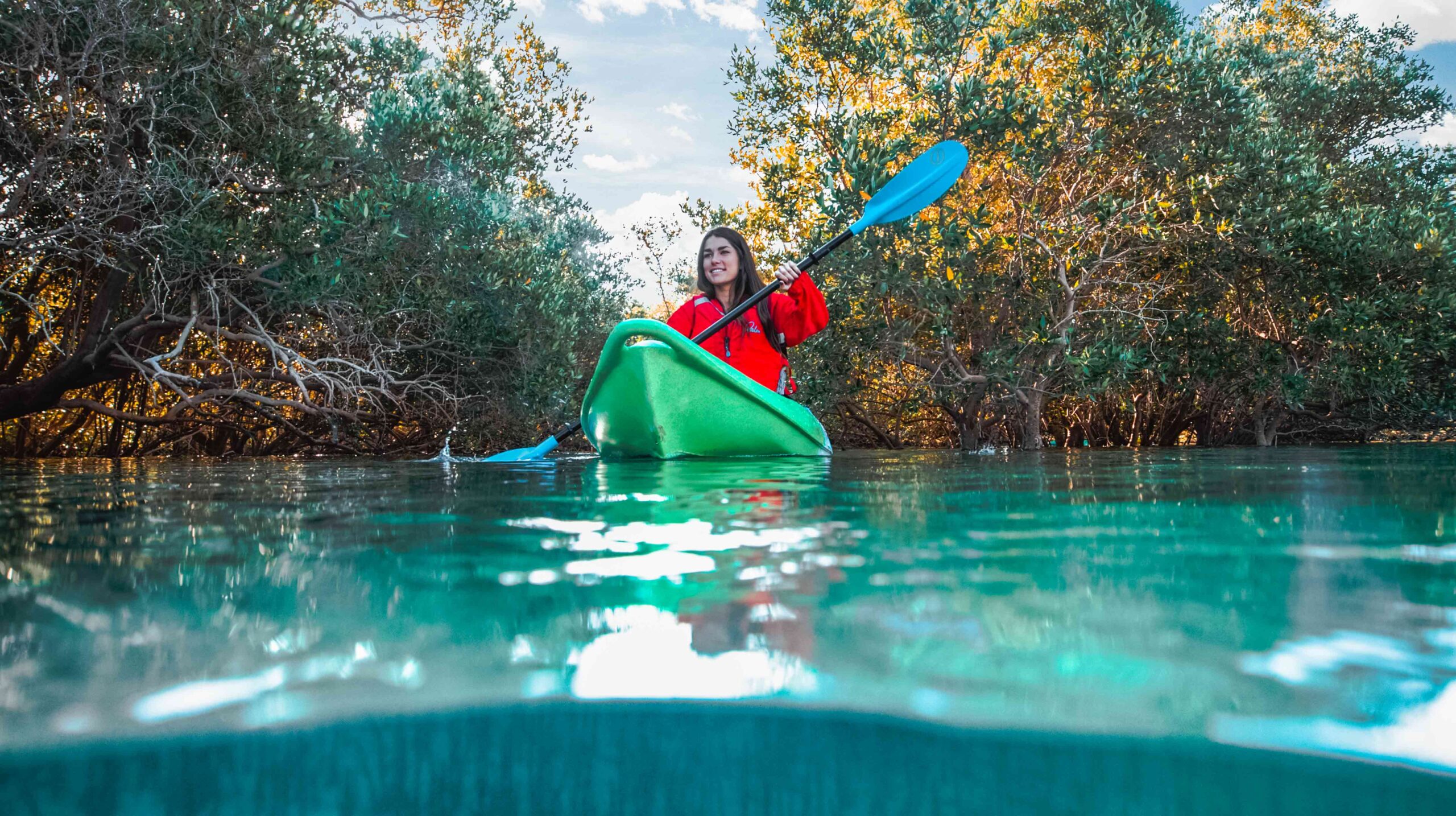 mangrove national park abu dhabi UAE